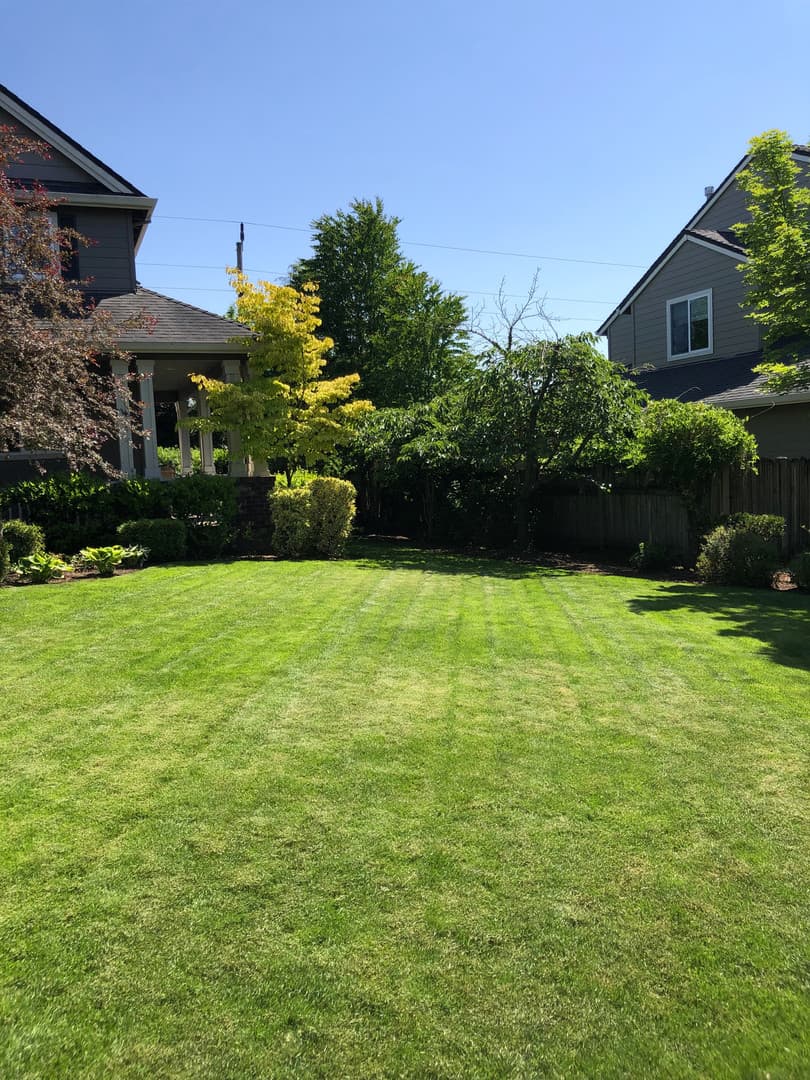 Corvallis House: 4318 SW Agate Ave
