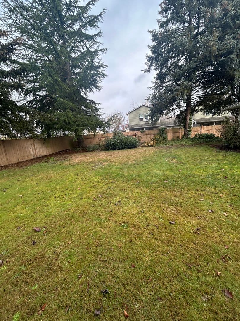 Corvallis Multiplex: 3445 SE 3rd St Unit 10