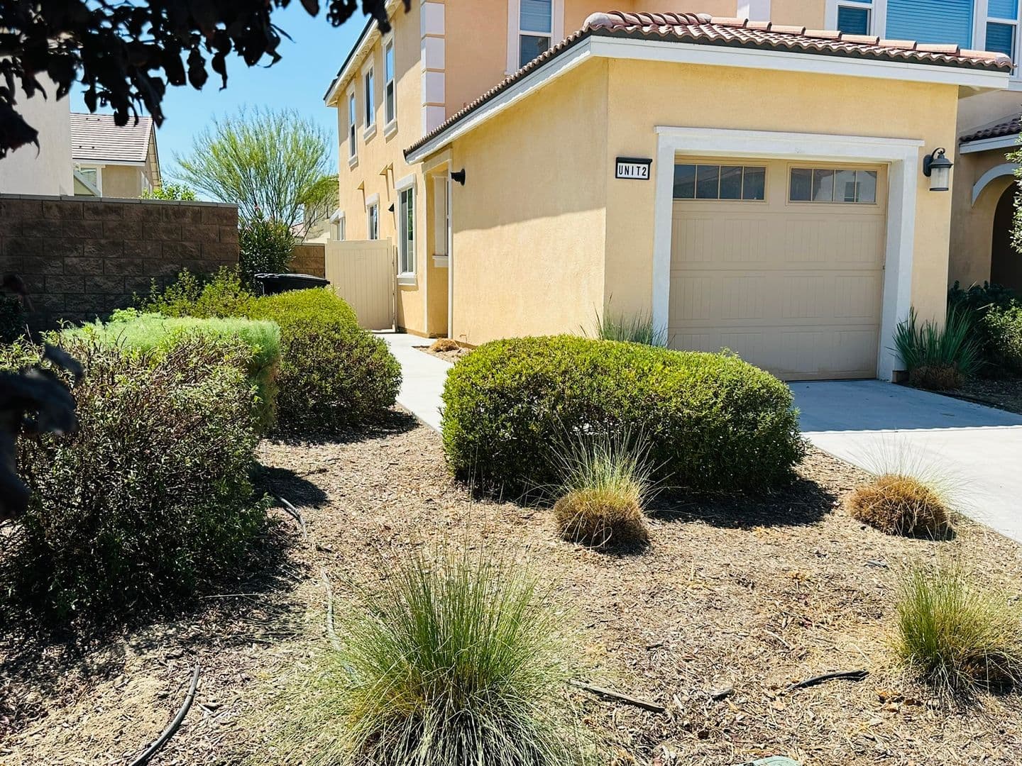 Loma Linda Apartment: 10964 Roble St.