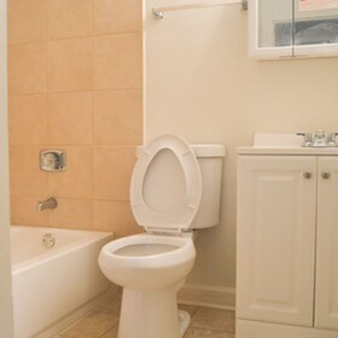 Chicago Apartment: 1310 North Sedgwick Street