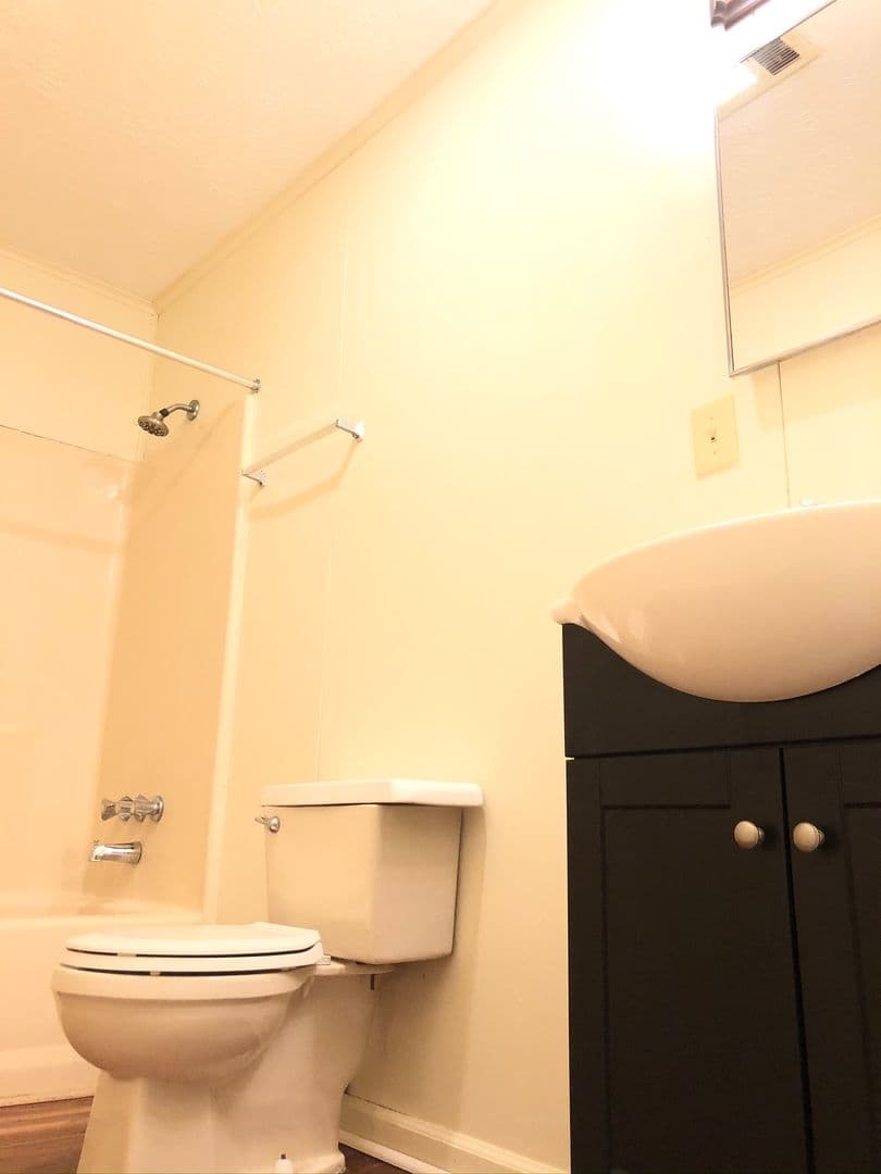 Statesboro Apartment: 223 Lanier Dr