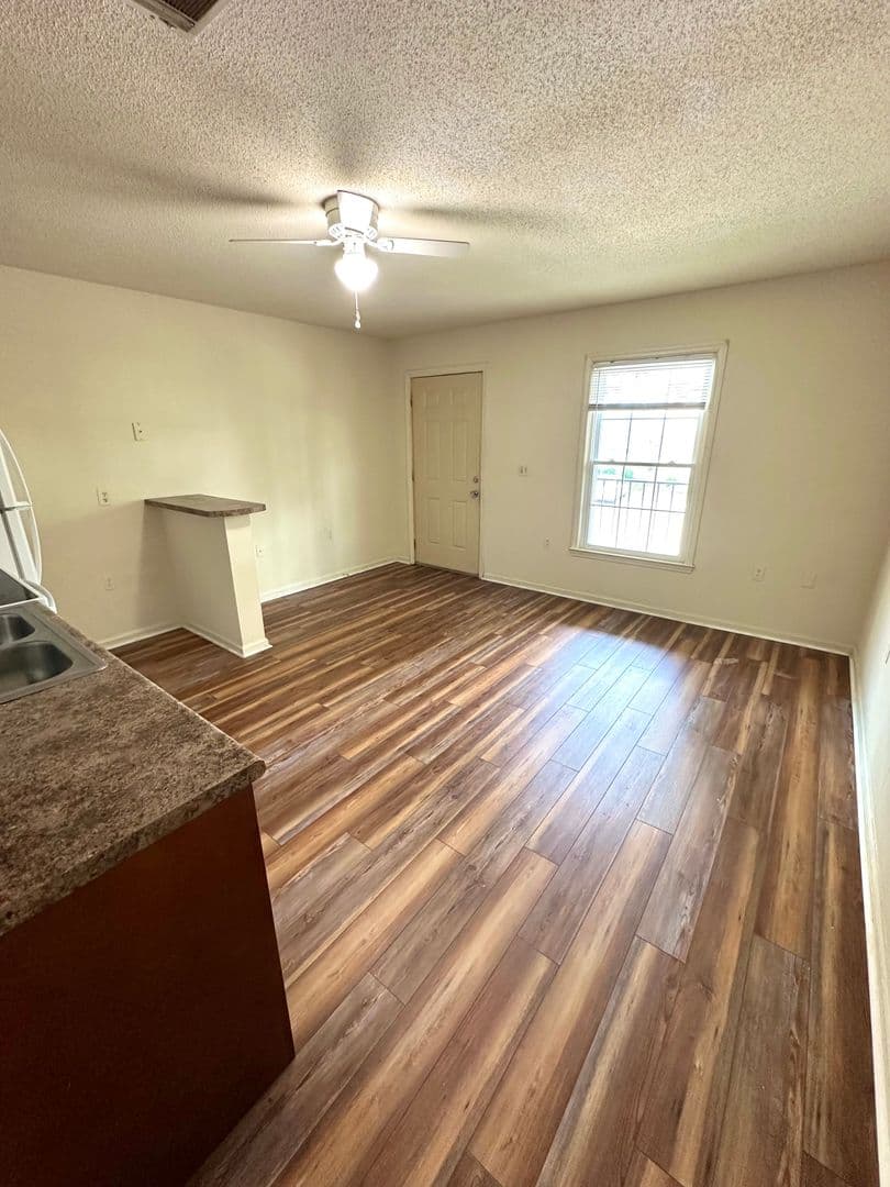 Statesboro Apartment: 232 Lanier Drive
