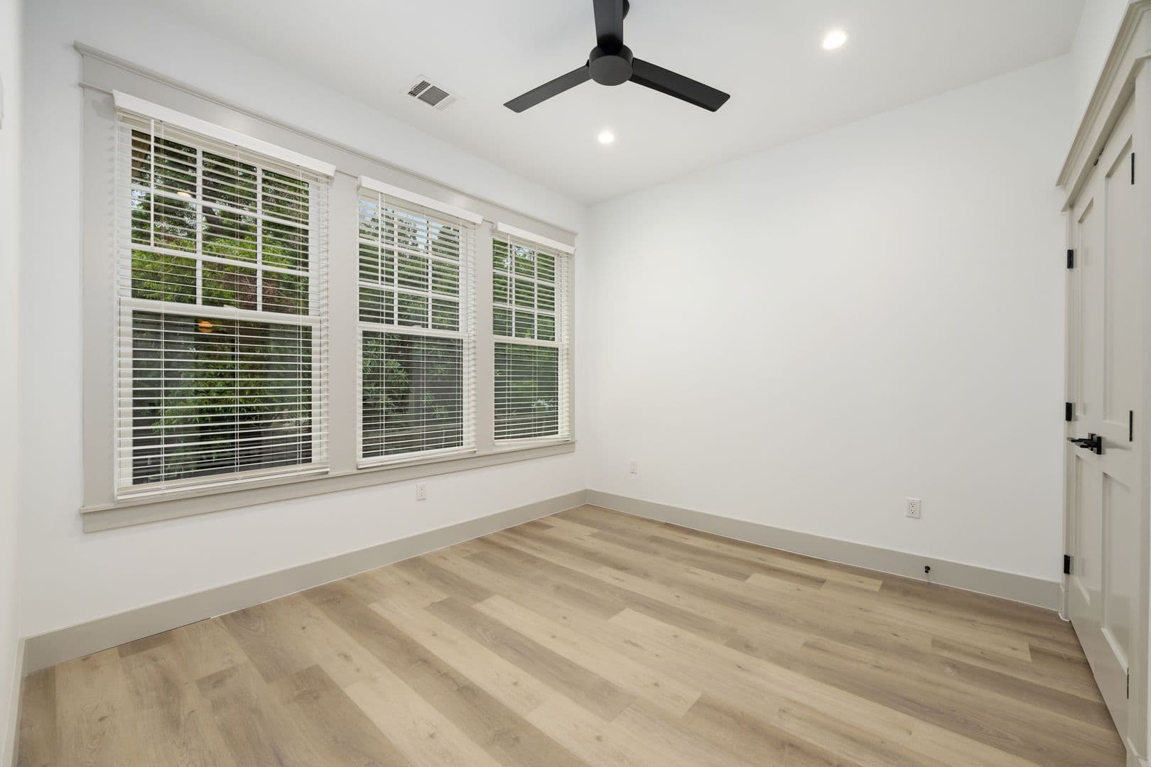 Austin Apartment: 1914 David Street