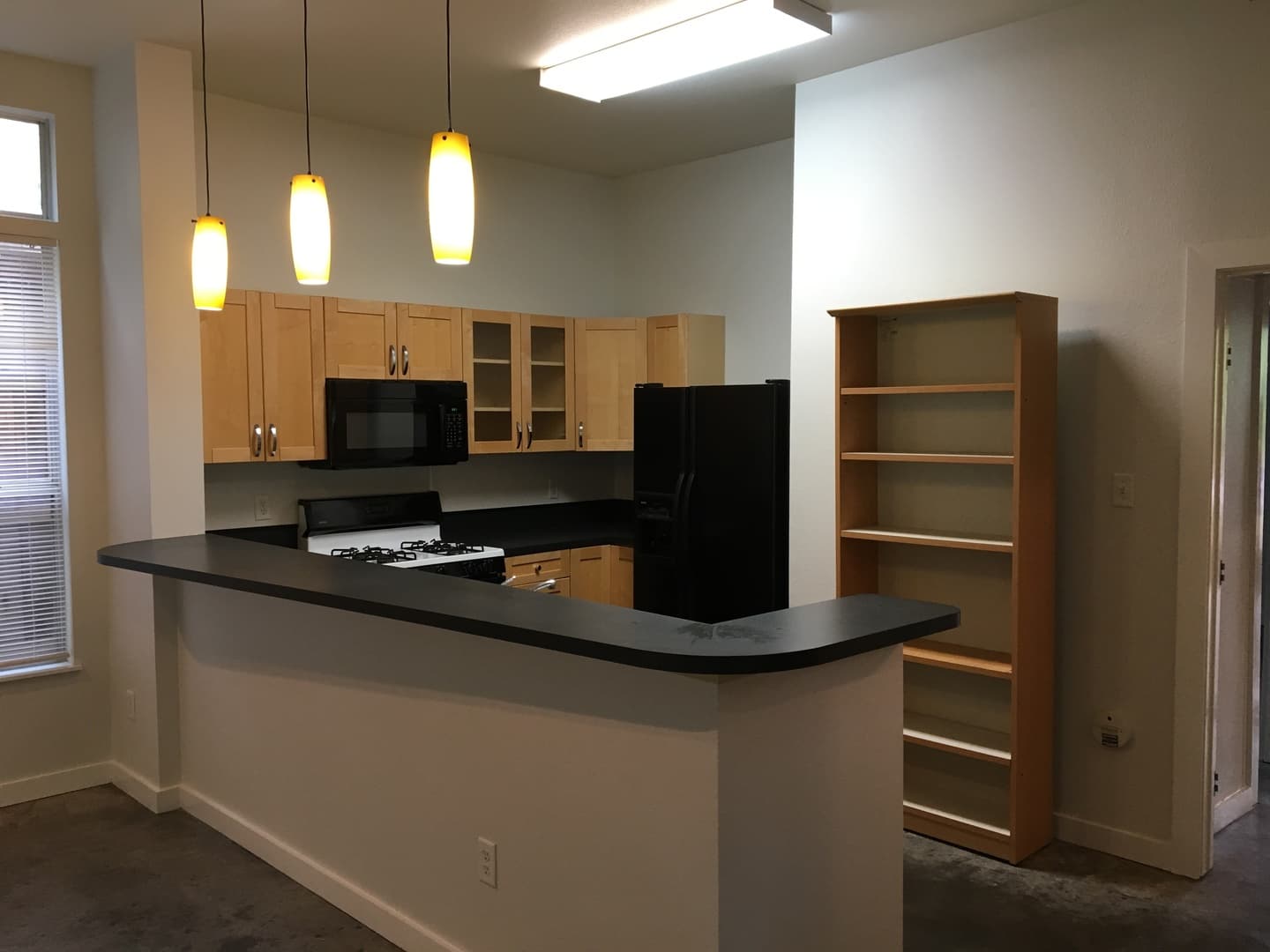Austin Apartment: 707 East 47th Street