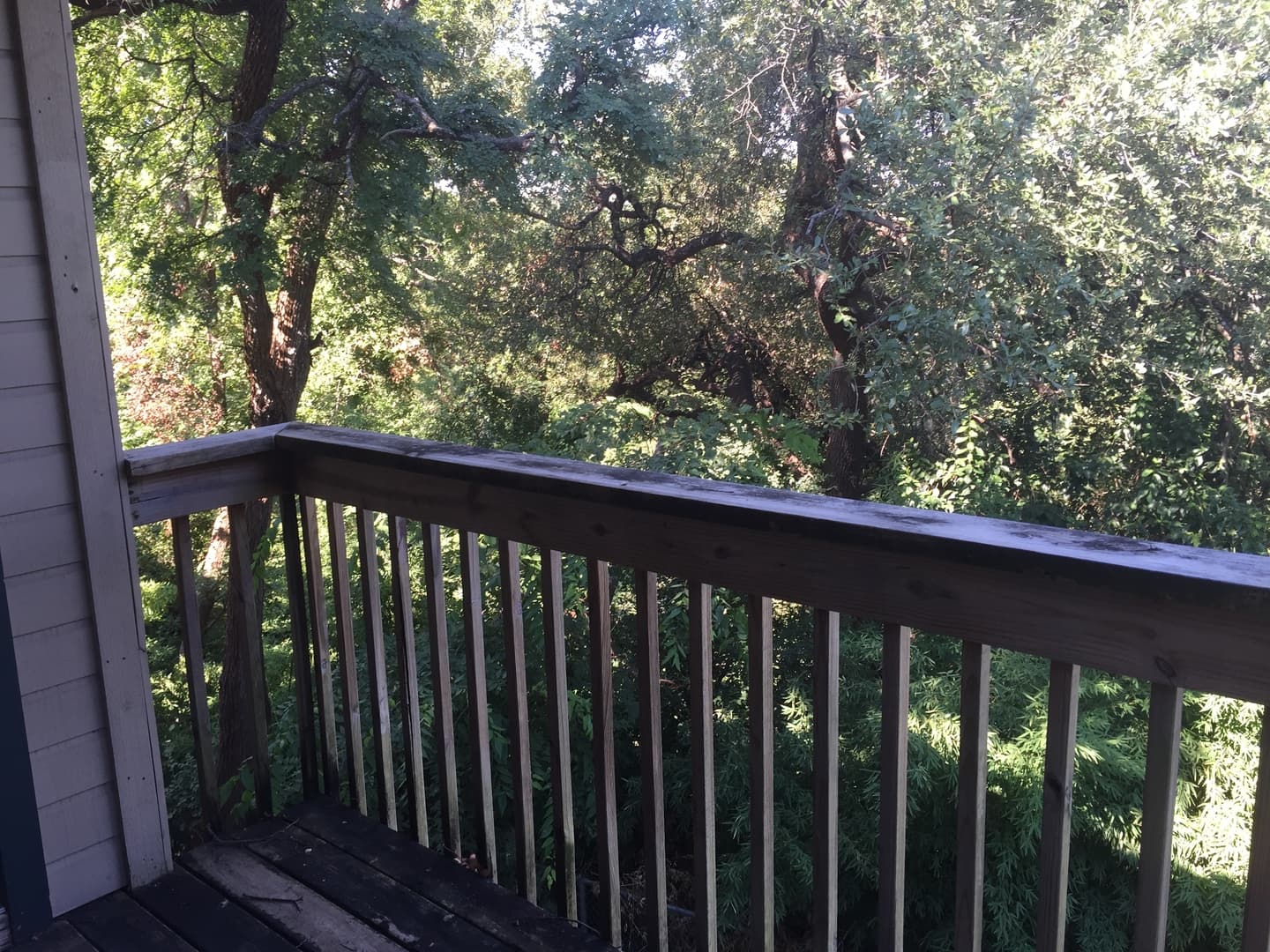 Austin Apartment: 2712 San Pedro Street
