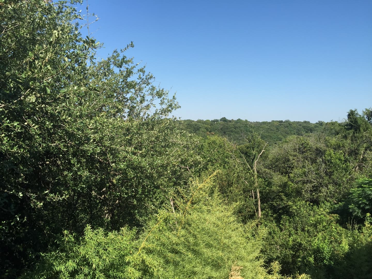 Austin Apartment: 2712 San Pedro Street