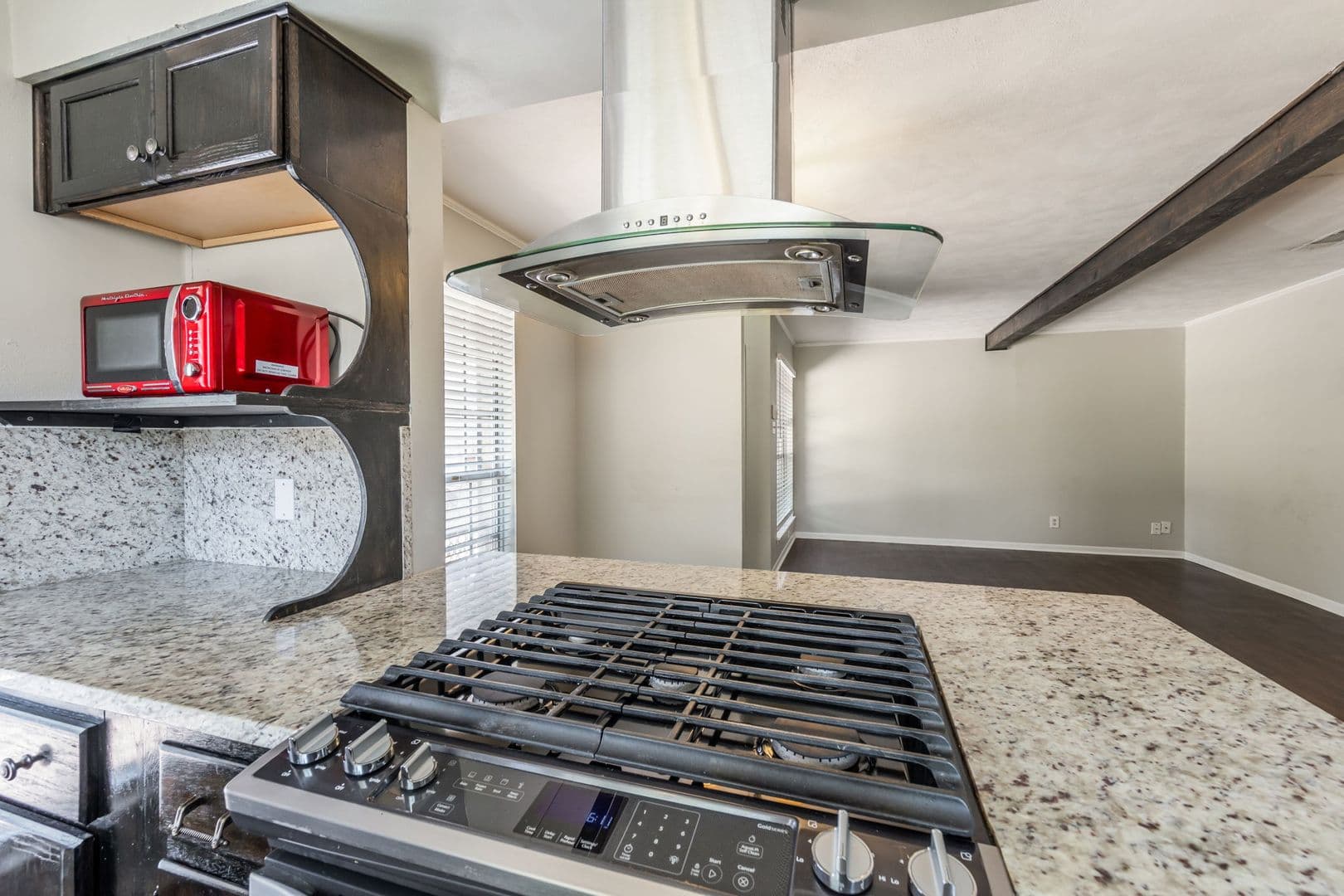 Austin Apartment: 1003 West Martin Luther King, Jr Blvd.