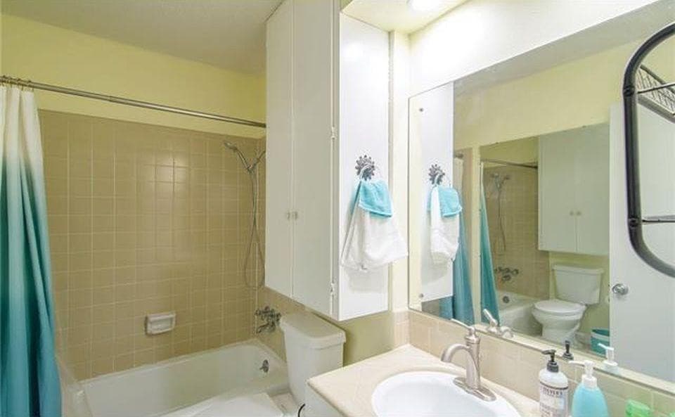 Austin Apartment: 1003 West Martin Luther King, Jr Blvd.