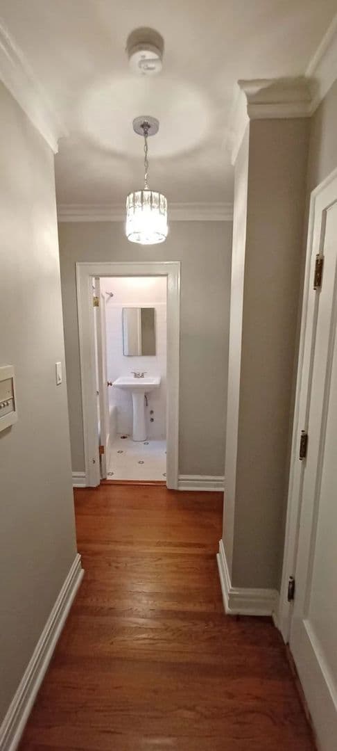Chicago Apartment: 1600 W. Granville Apt-3H
