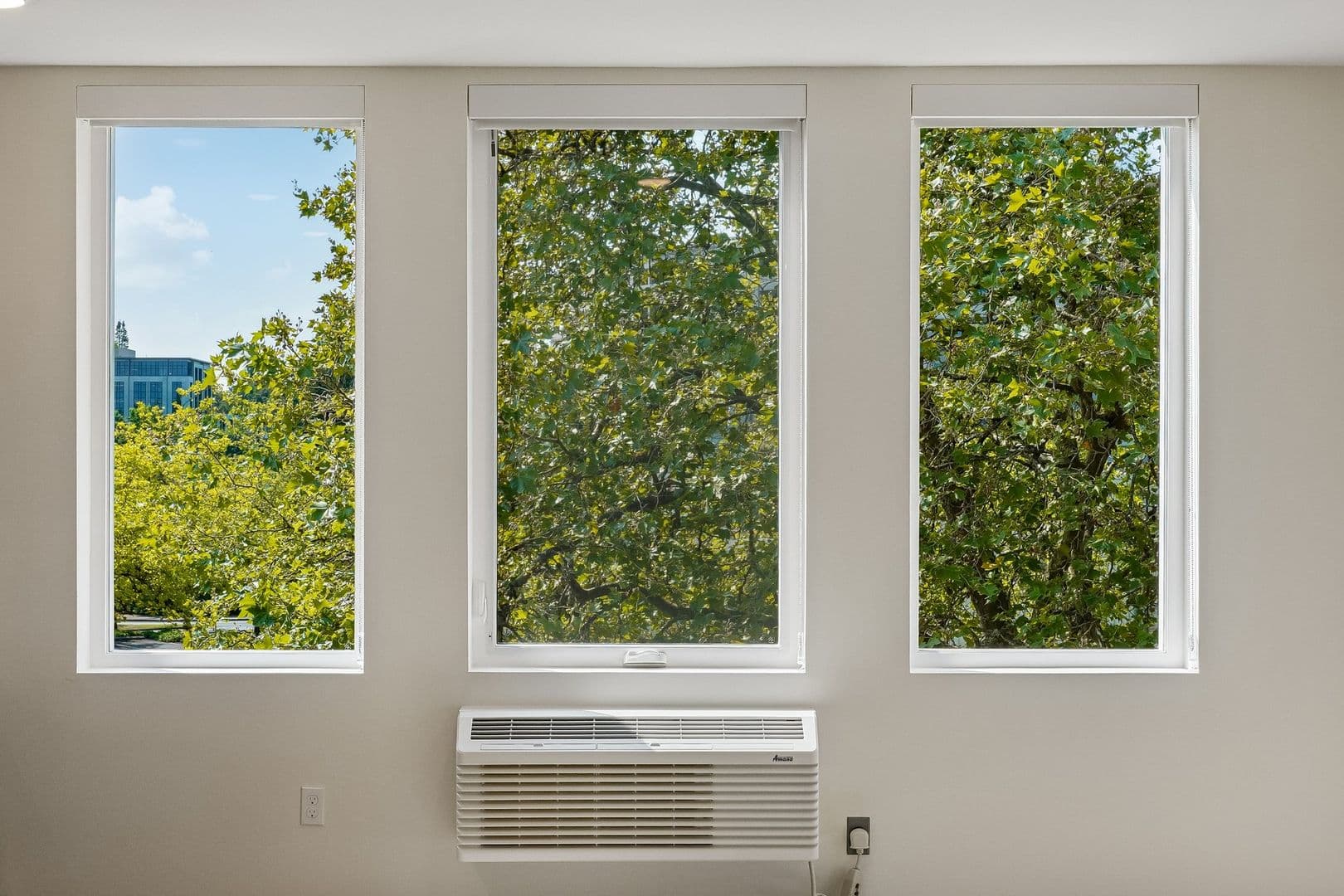 Olympia Apartment: 401 Union Ave SE