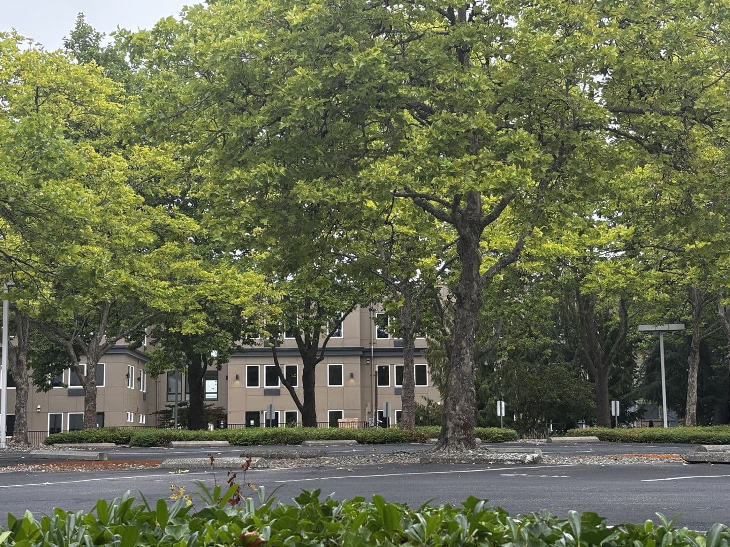 Olympia Apartment: 401 Union Ave SE