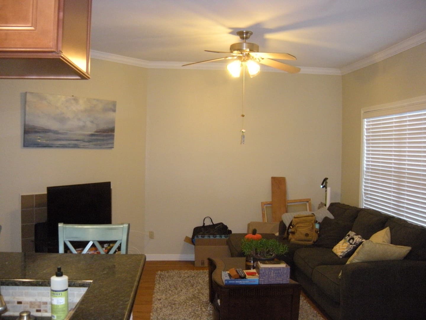 Austin Apartment: 915 West 23rd St.