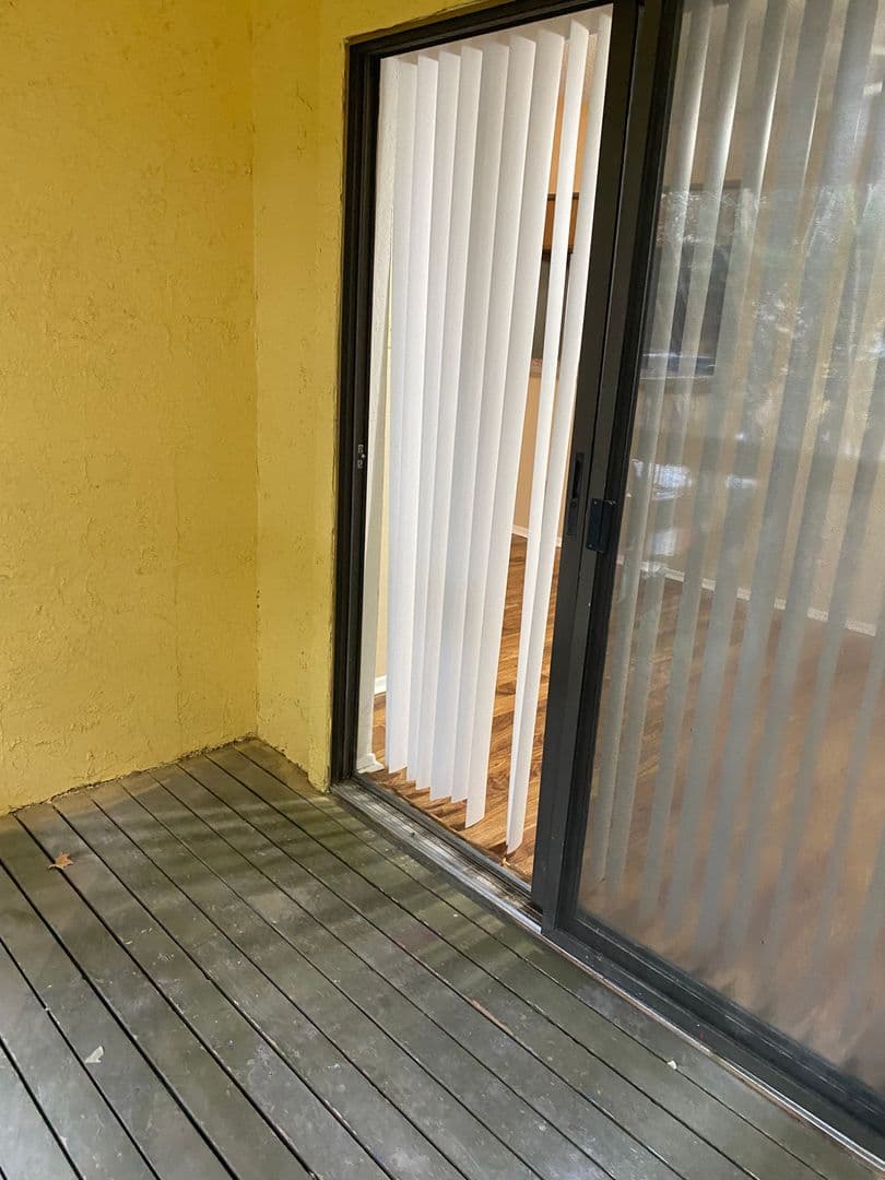 Austin Apartment: 806 West 24th Street