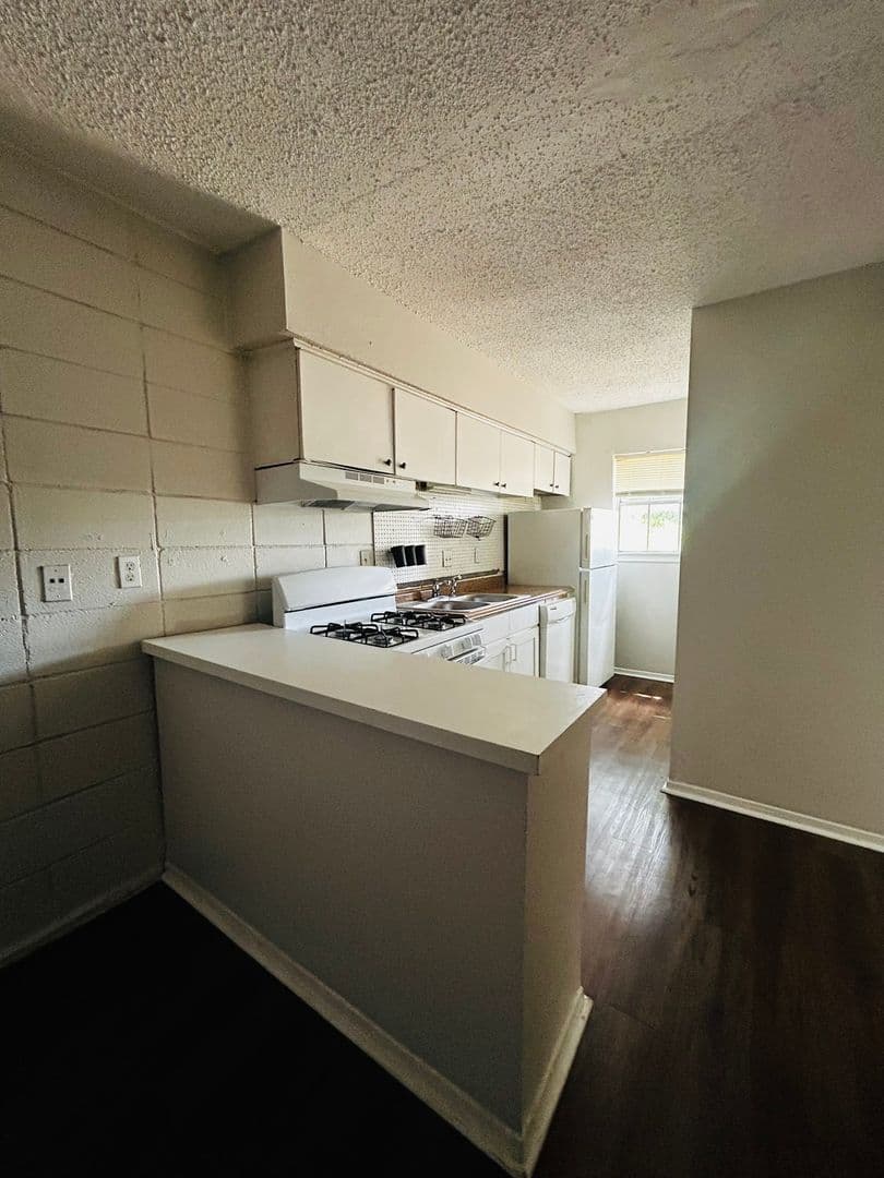 Austin Apartment: 307 & 311 East 31st