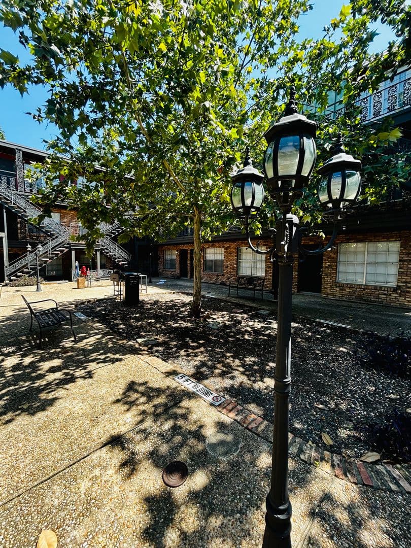 Austin Apartment: 307 & 311 East 31st