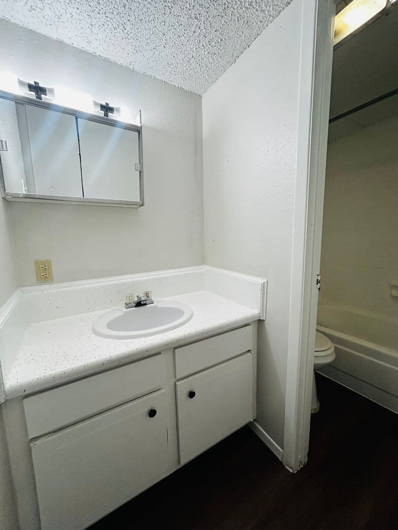 Austin Apartment: 307 & 311 East 31st