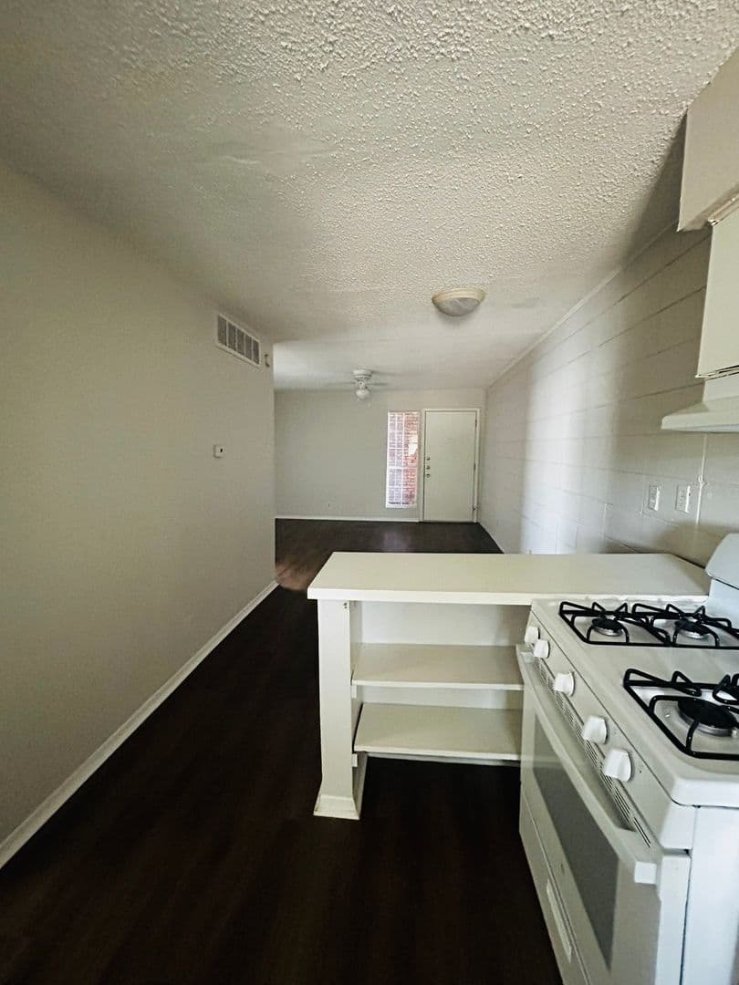 Austin Apartment: 307 & 311 East 31st