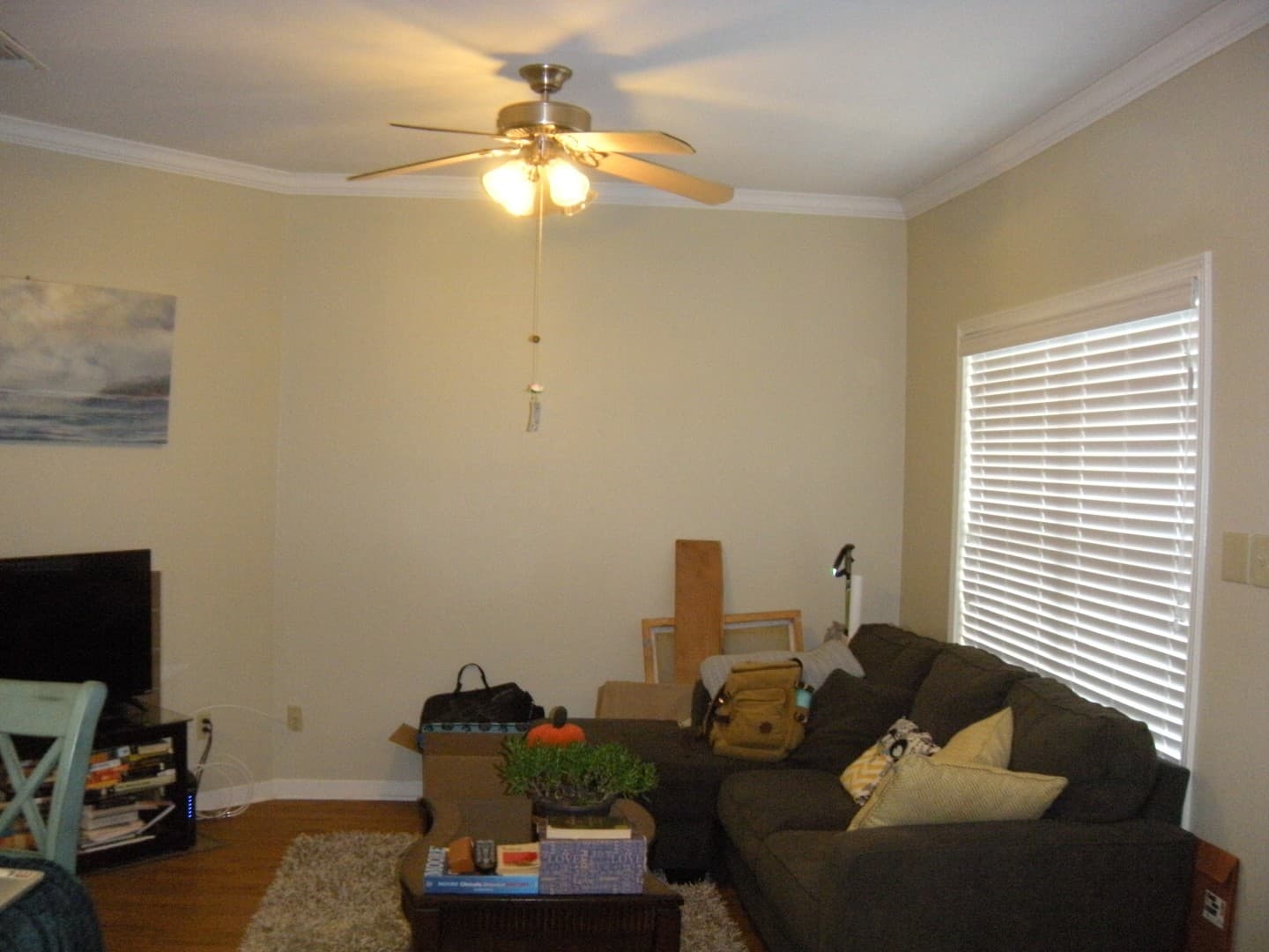 Austin Apartment: 915 West 23rd St.