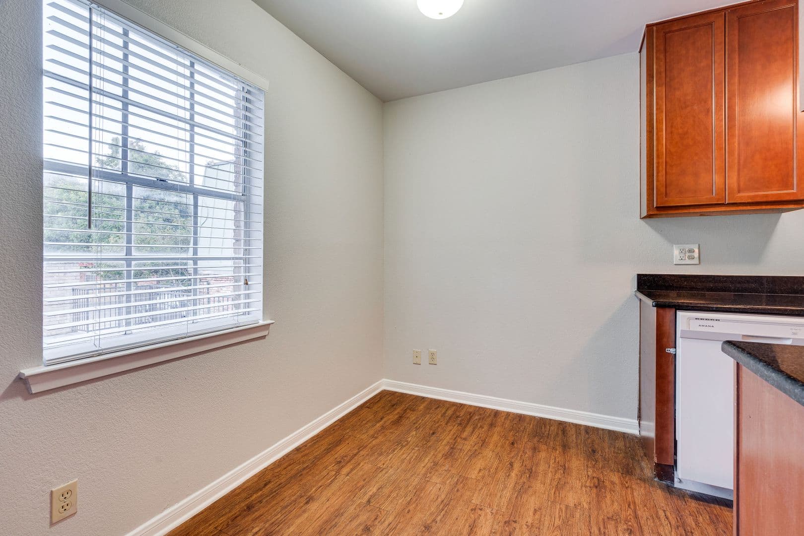 Austin Apartment: 307 & 311 East 31st