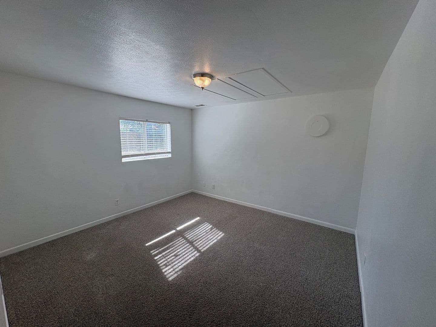 Greeley House: 939 49th Avenue Place