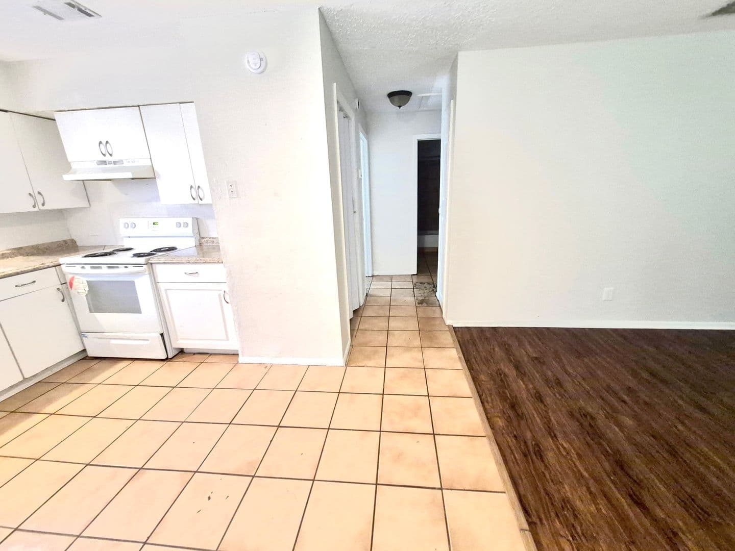 Tampa Apartment: 1716 E Idell St