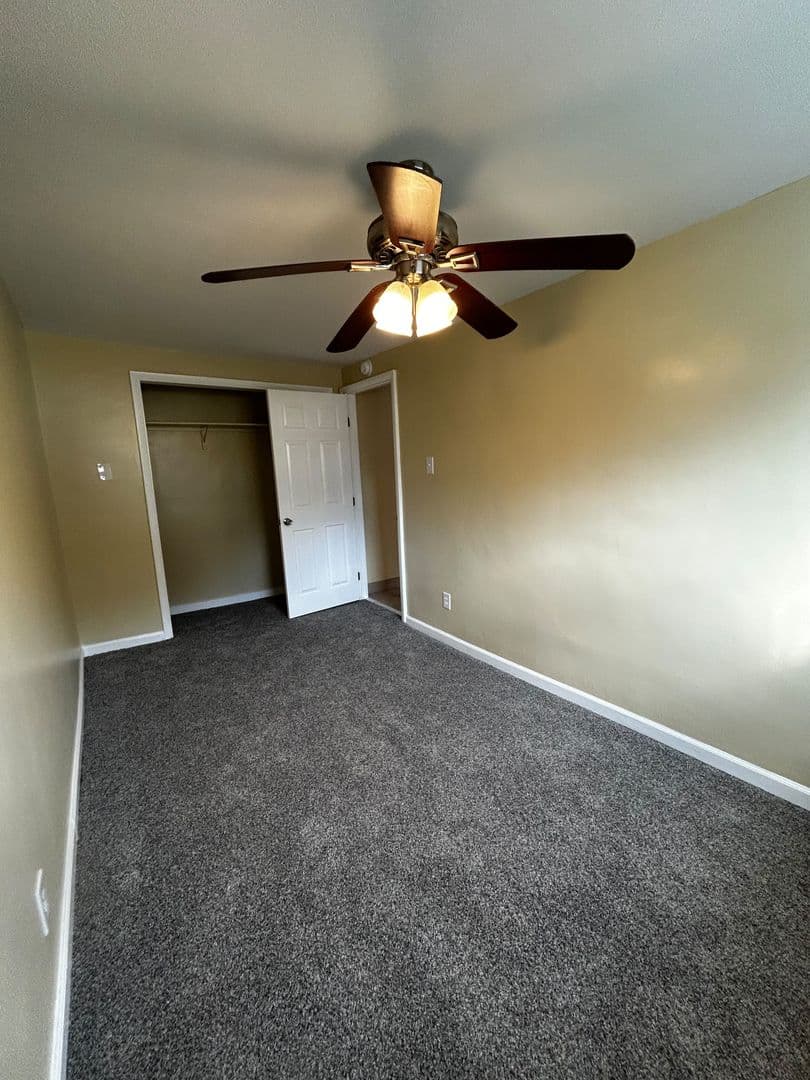 Carbondale Apartment: 41 Fallbrook Street