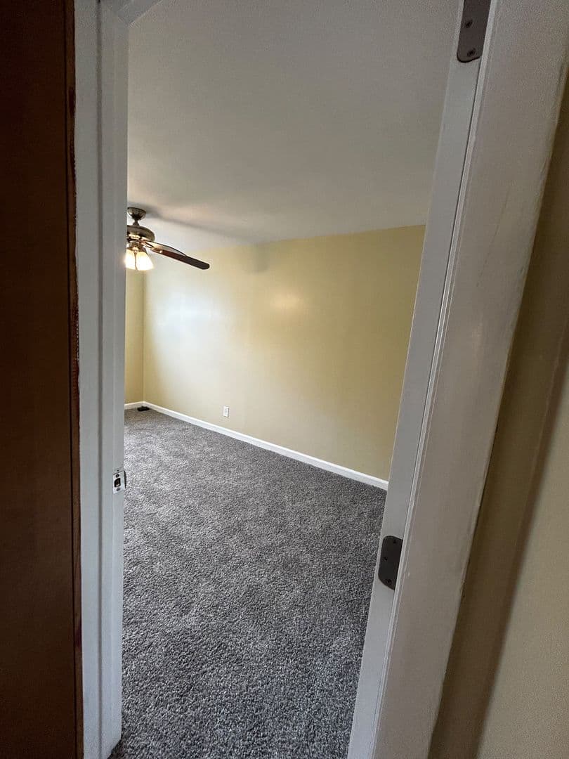 Carbondale Apartment: 41 Fallbrook Street