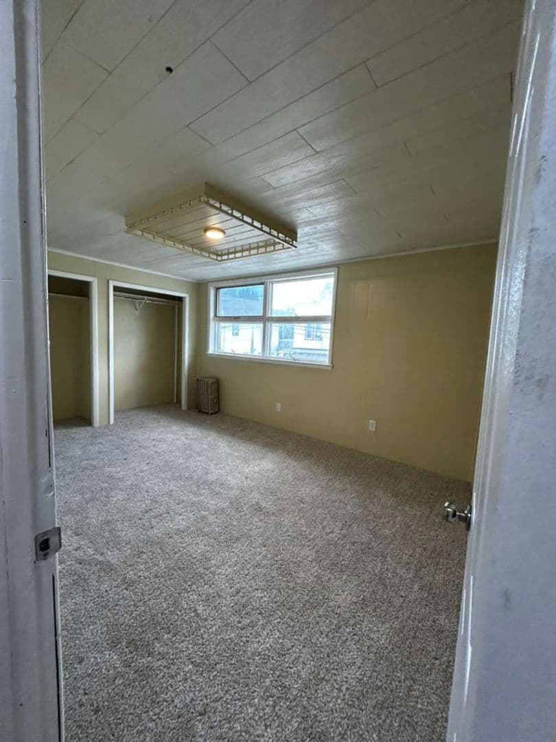 Carbondale Apartment: 41 Fallbrook Street