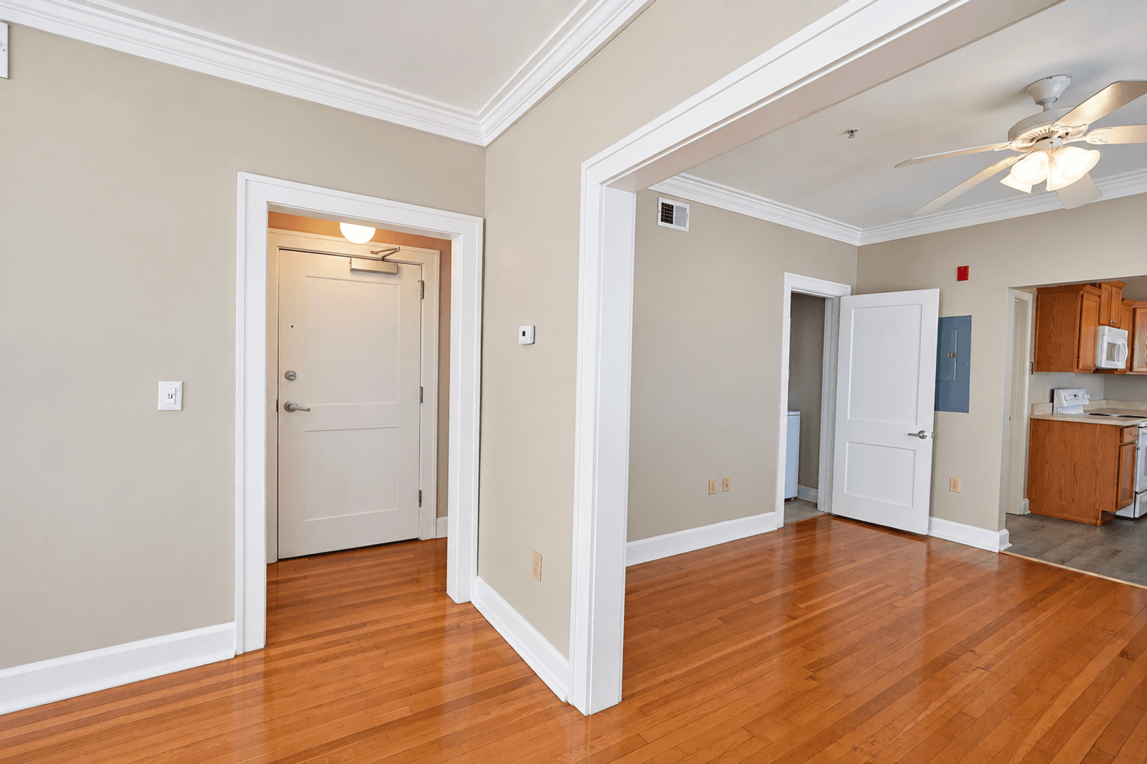 Springfield Apartment: 423 E Elm St
