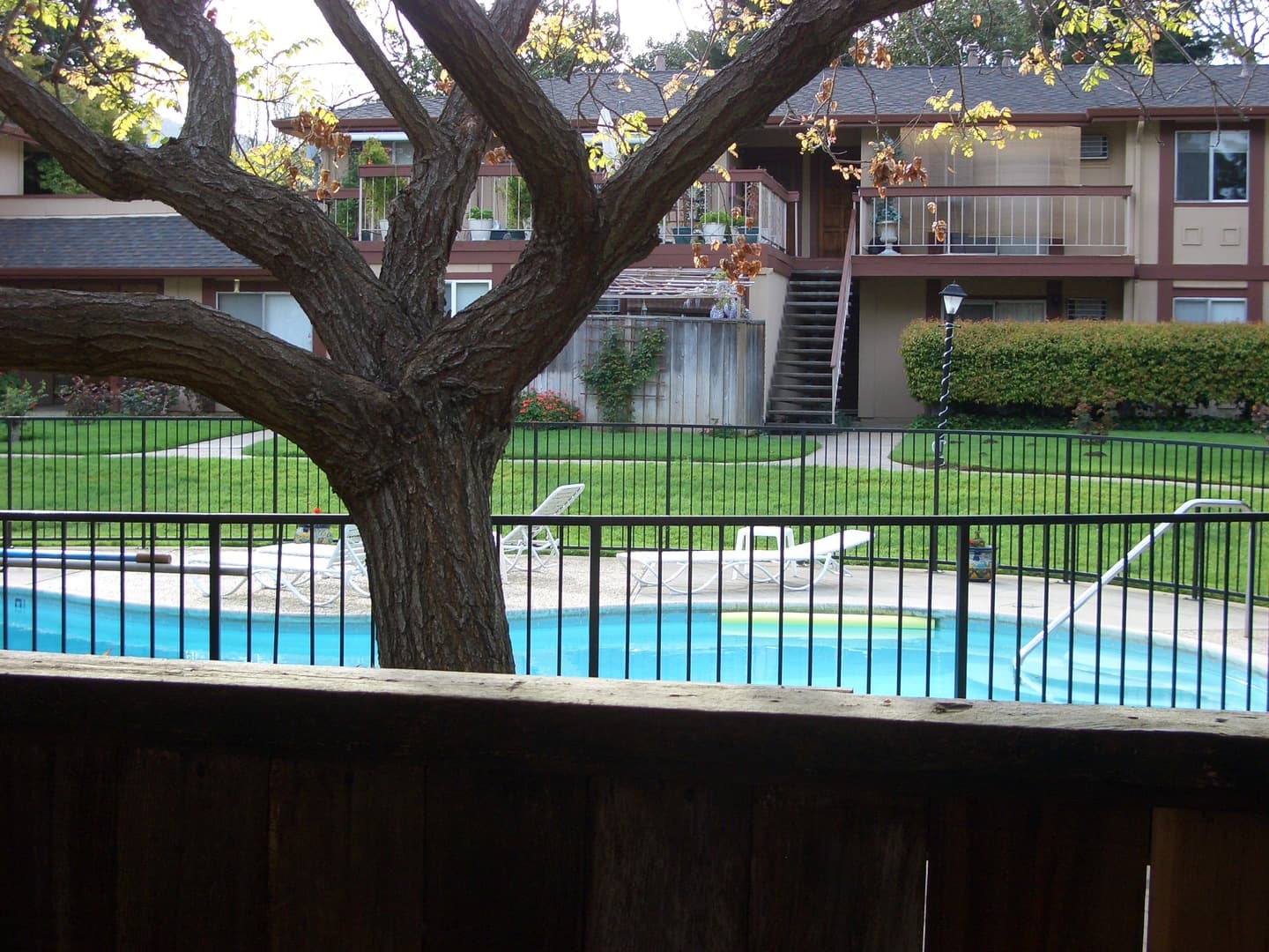 Los Gatos Apartment: 225 Avery Lane