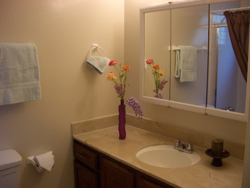 Los Gatos Apartment: 225 Avery Lane