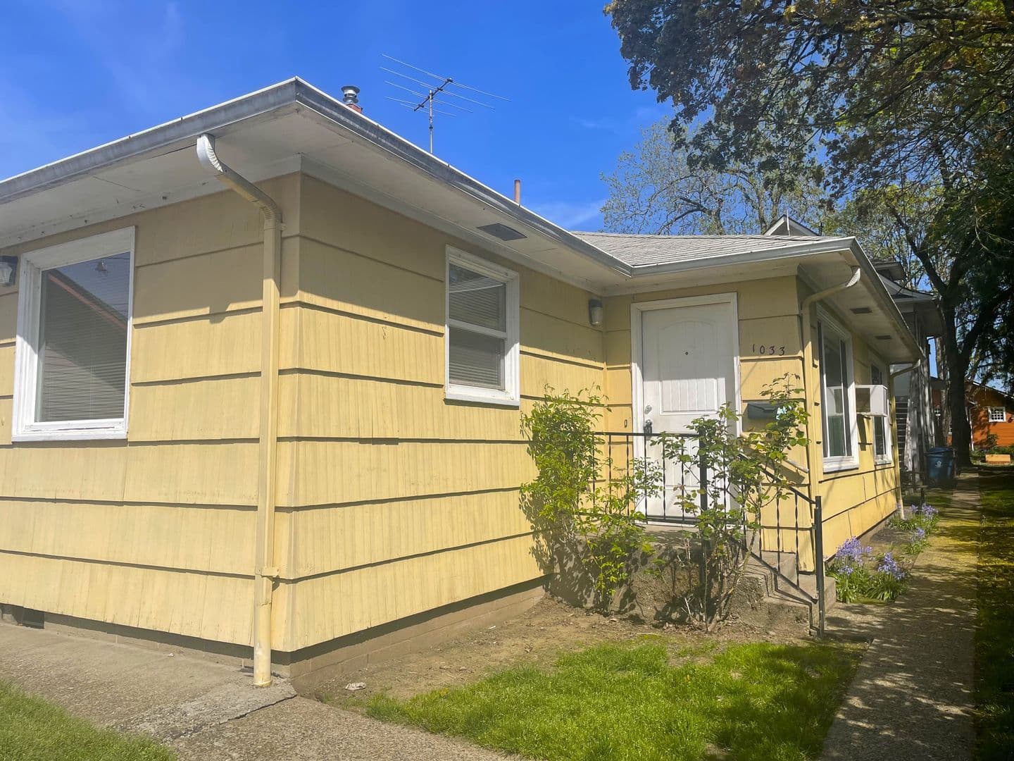 Salem Apartment: 1031-1033 Saginaw St S