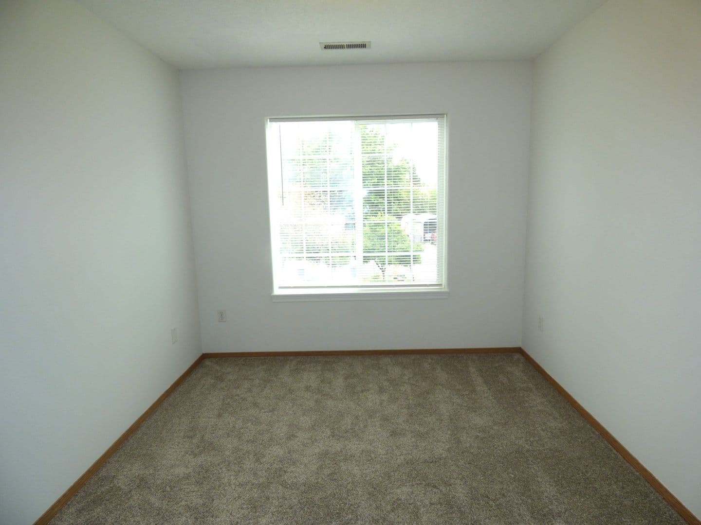 Amity Apartment: 102/104/106 Rice LN