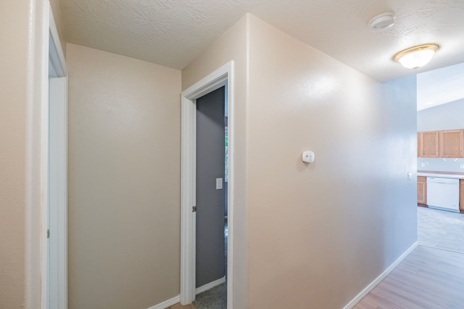Albany House: 3234 23rd Avenue Southeast