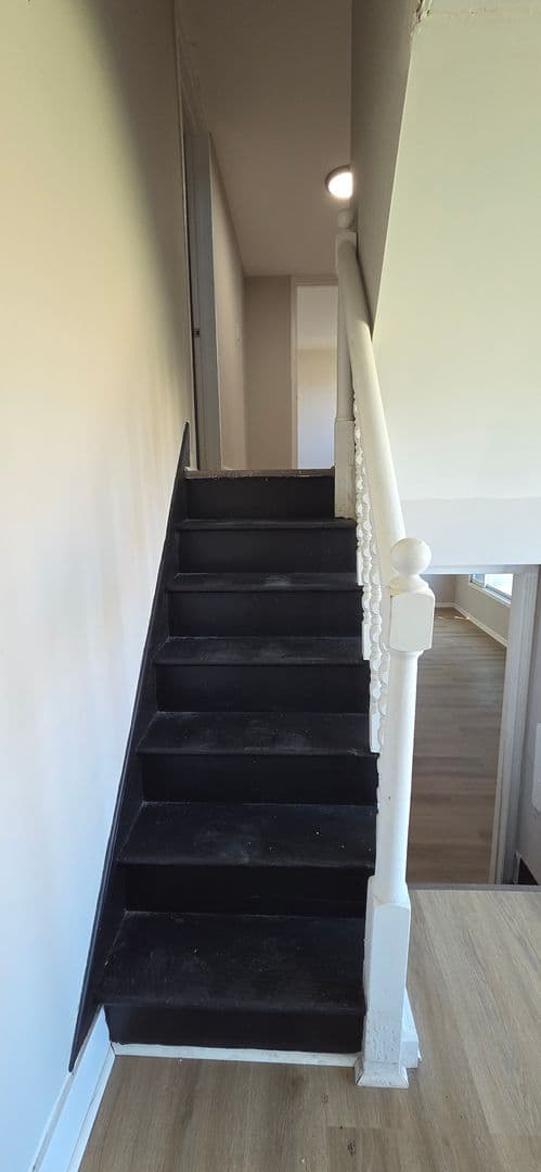 Levittown House: 1019 Green Ln