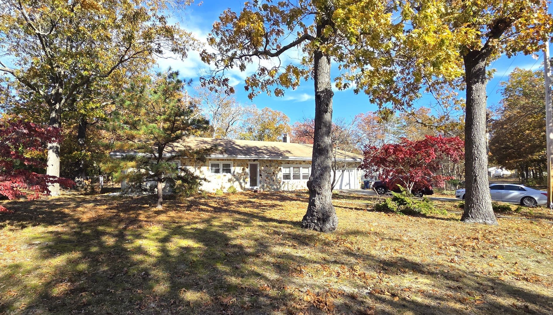 Williamstown House: 319 Jays Ave