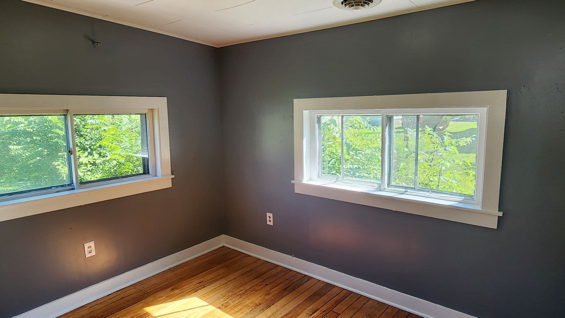 Olean Apartment: 119 - 119 1/2 South 8th Street