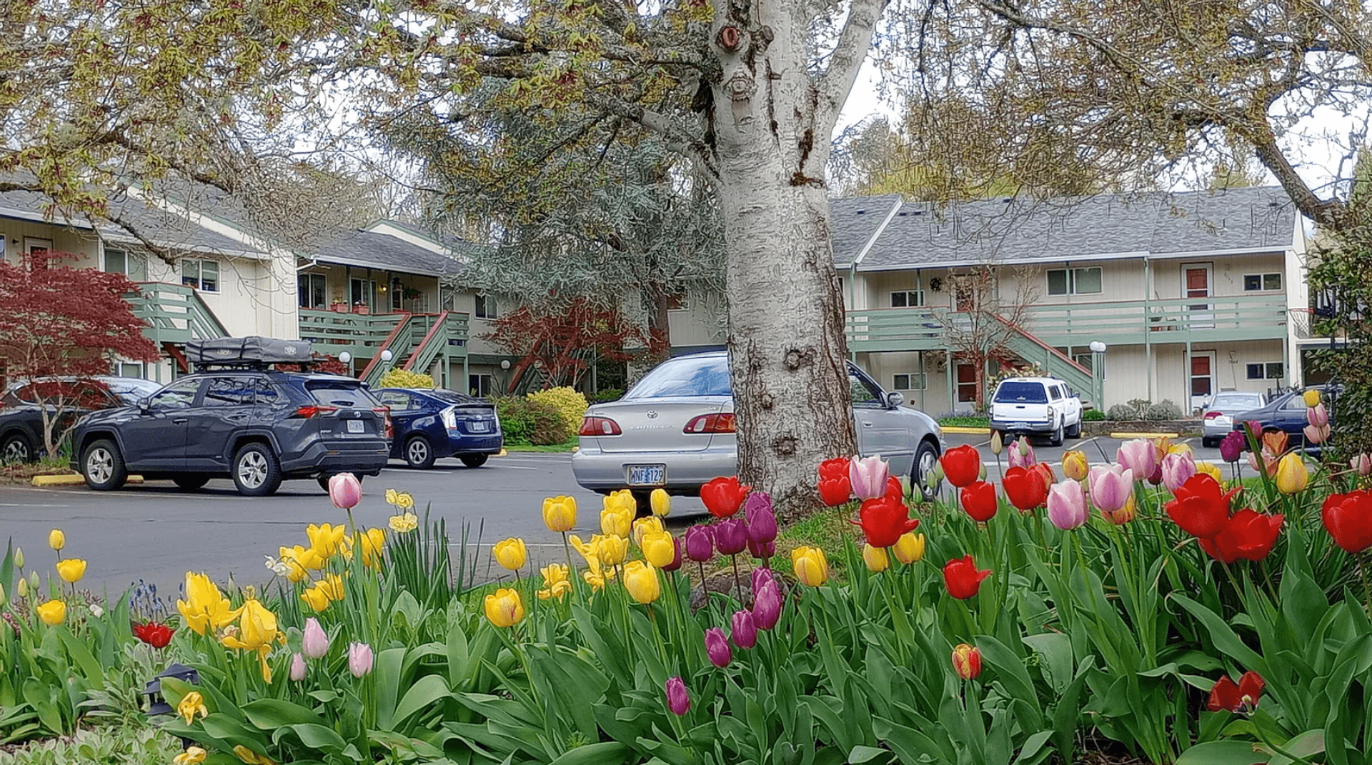 Portland Apartment: 6930-7137 SW Vermont Court