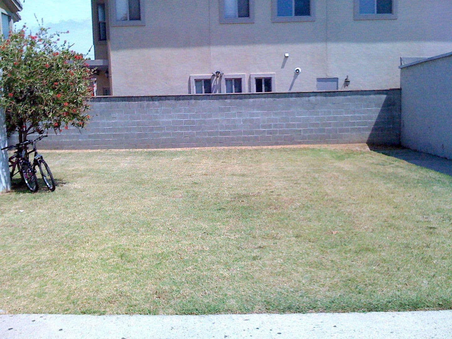 Torrance Apartment: 921 Sartori Ave.