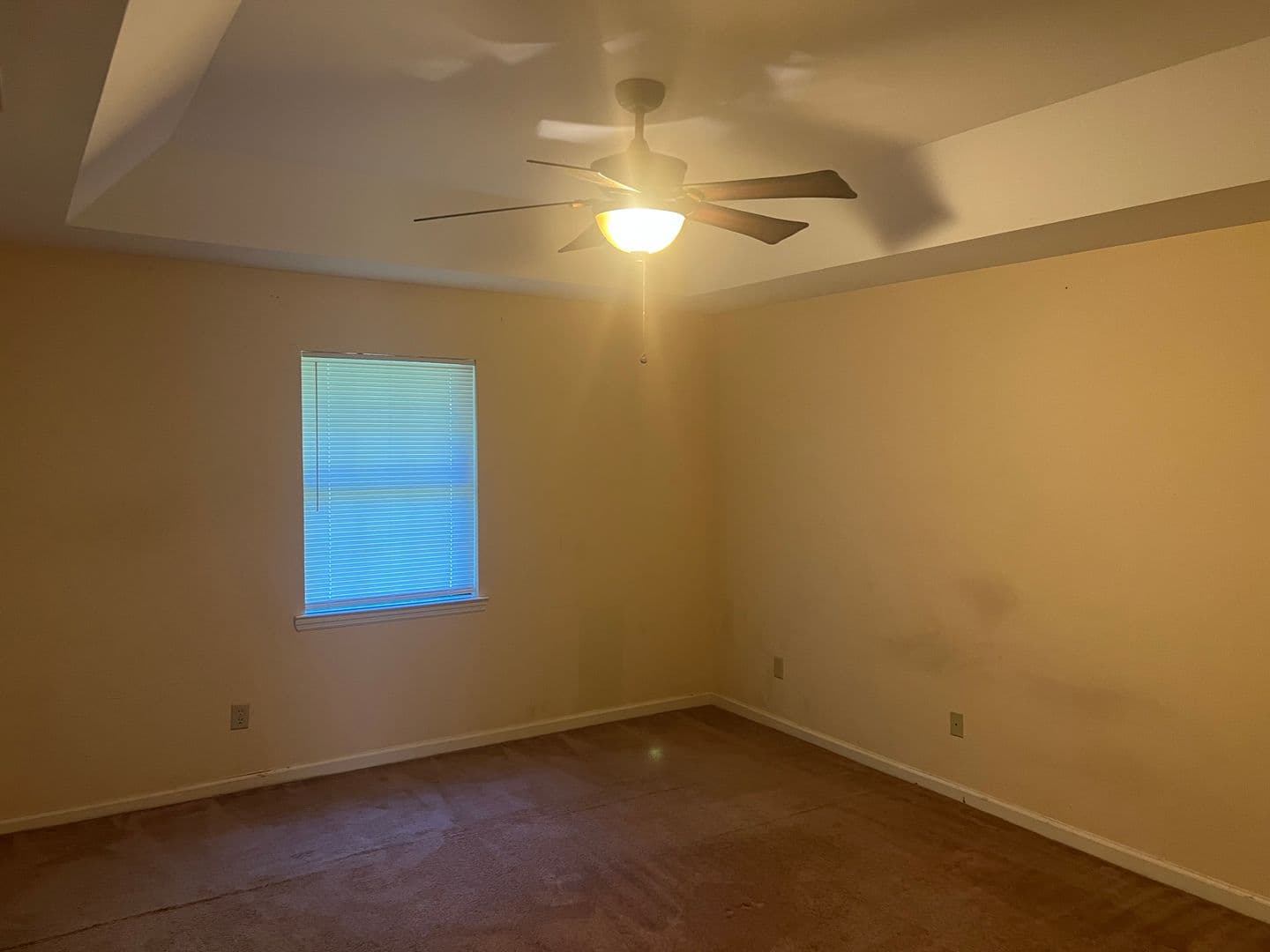 Allenhurst House: 44 Pointer Court