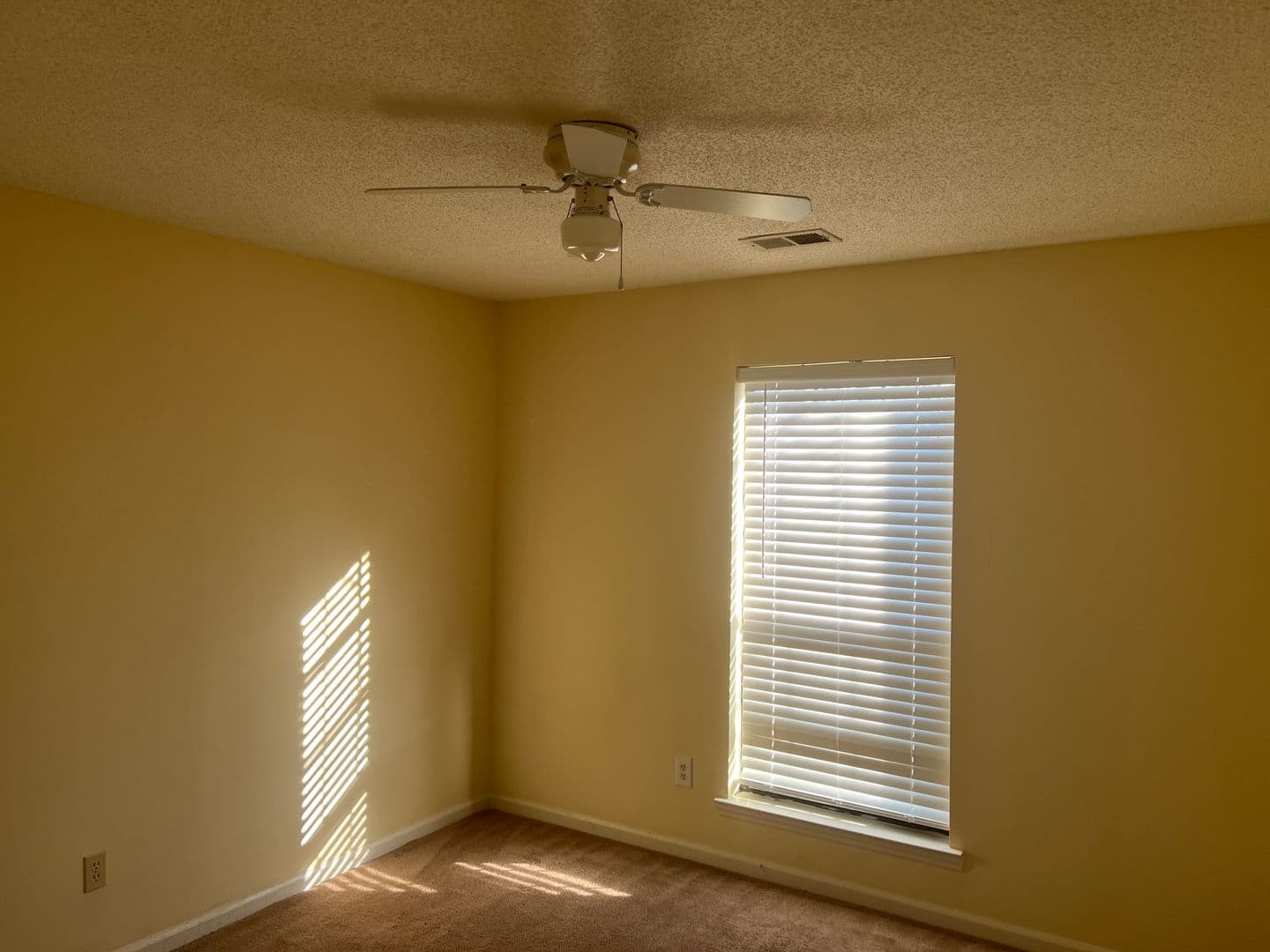 Allenhurst House: 44 Pointer Court