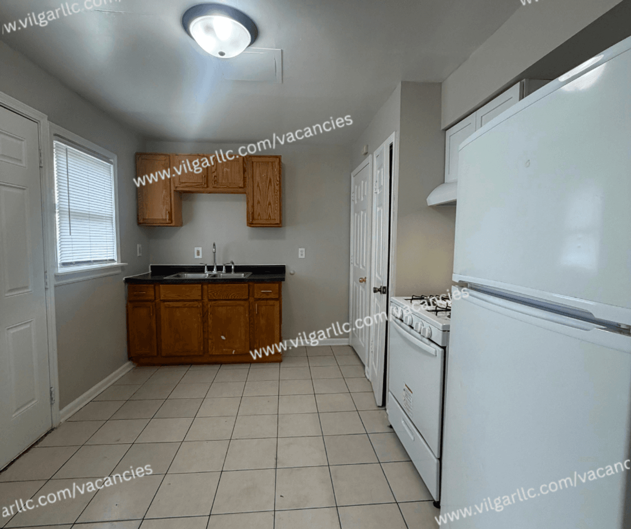 Gary Multiplex: 1232-34 Aetna St