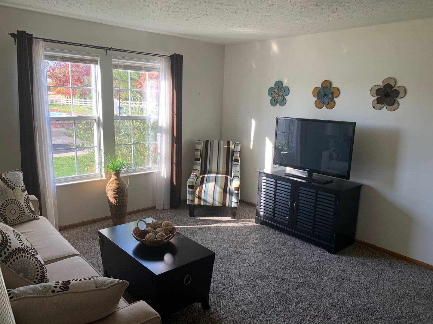 Ashville Apartment: 800 Long Street
