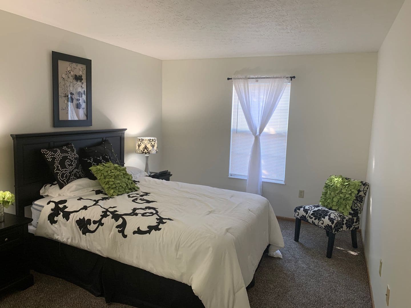 Ashville Apartment: 800 Long Street