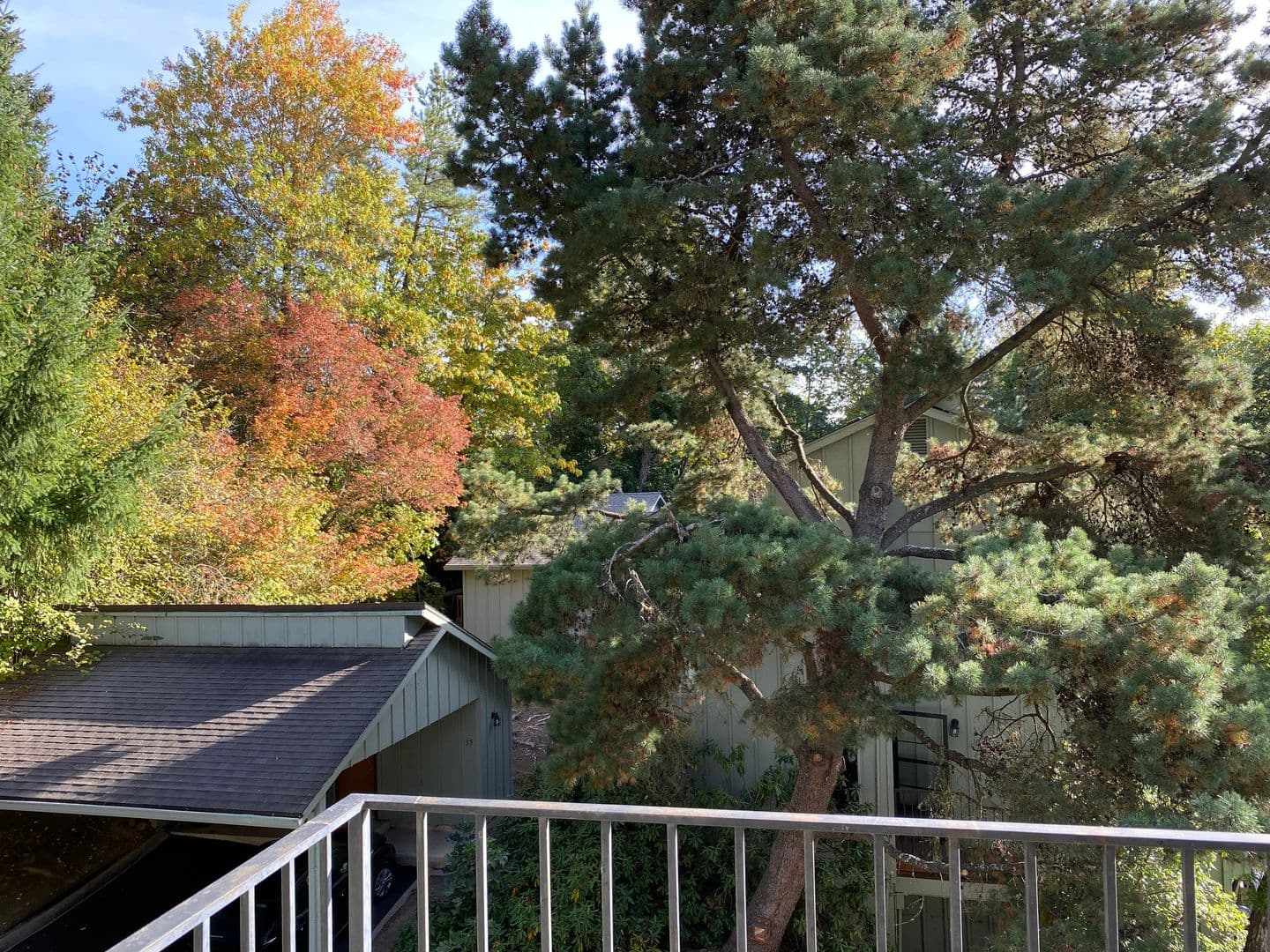 Portland Apartment: 1908 SW Roxbury Avenue