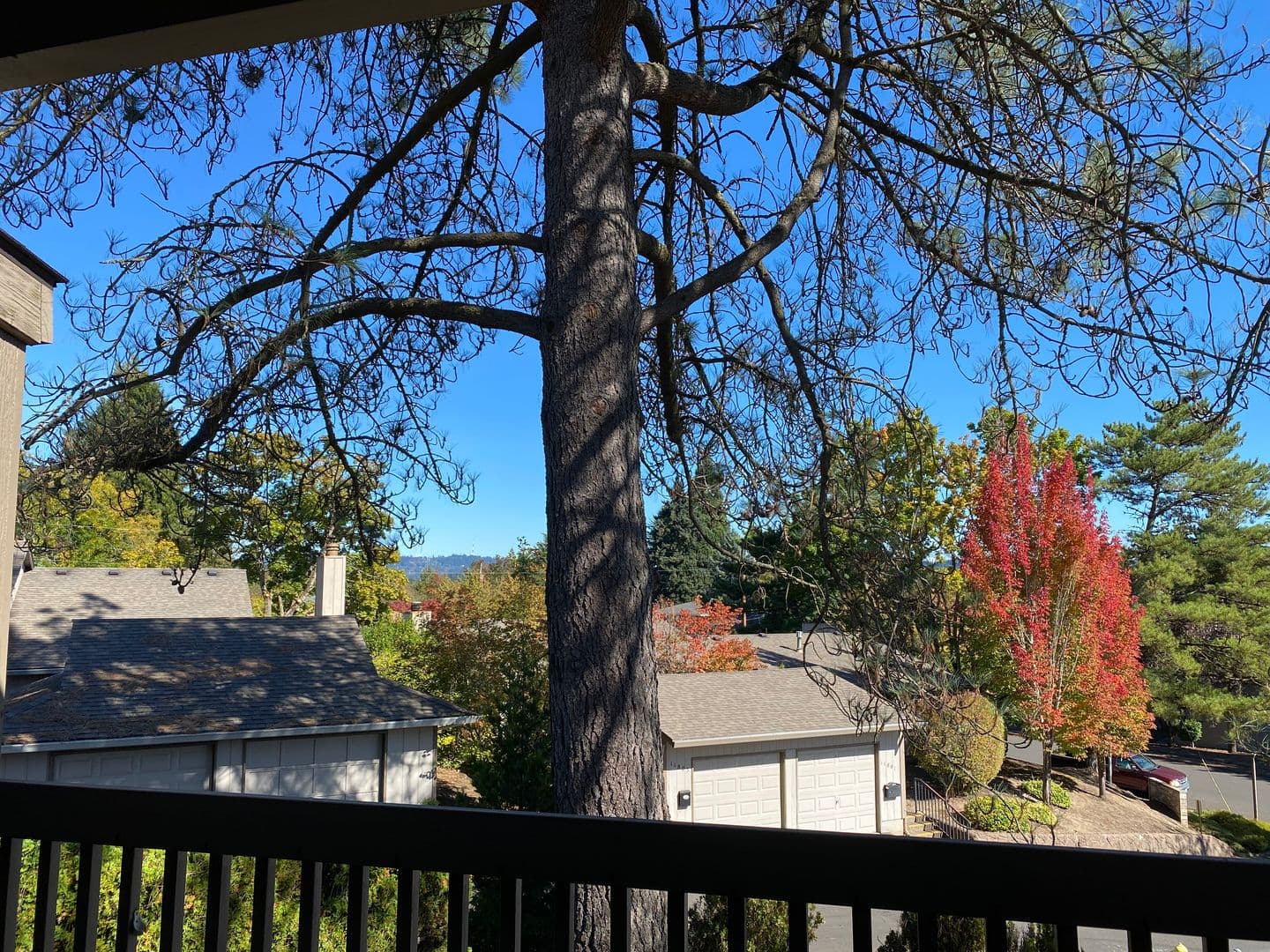 Beaverton Apartment: 11835 SW Ridgecrest Drive