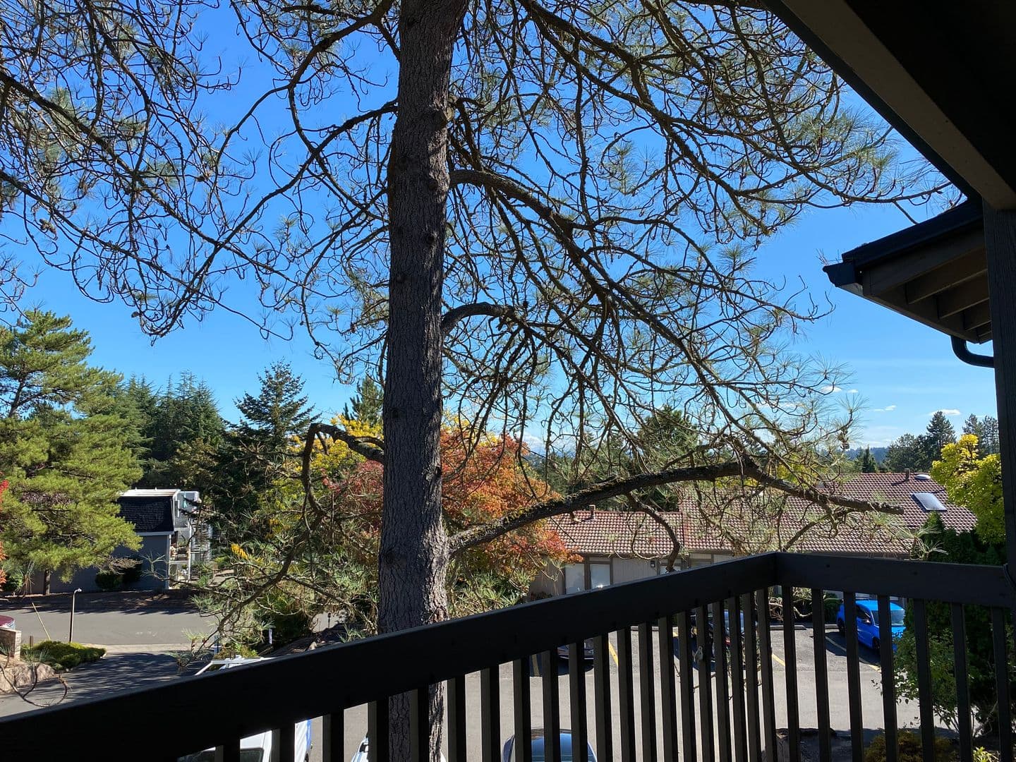 Beaverton Apartment: 11835 SW Ridgecrest Drive