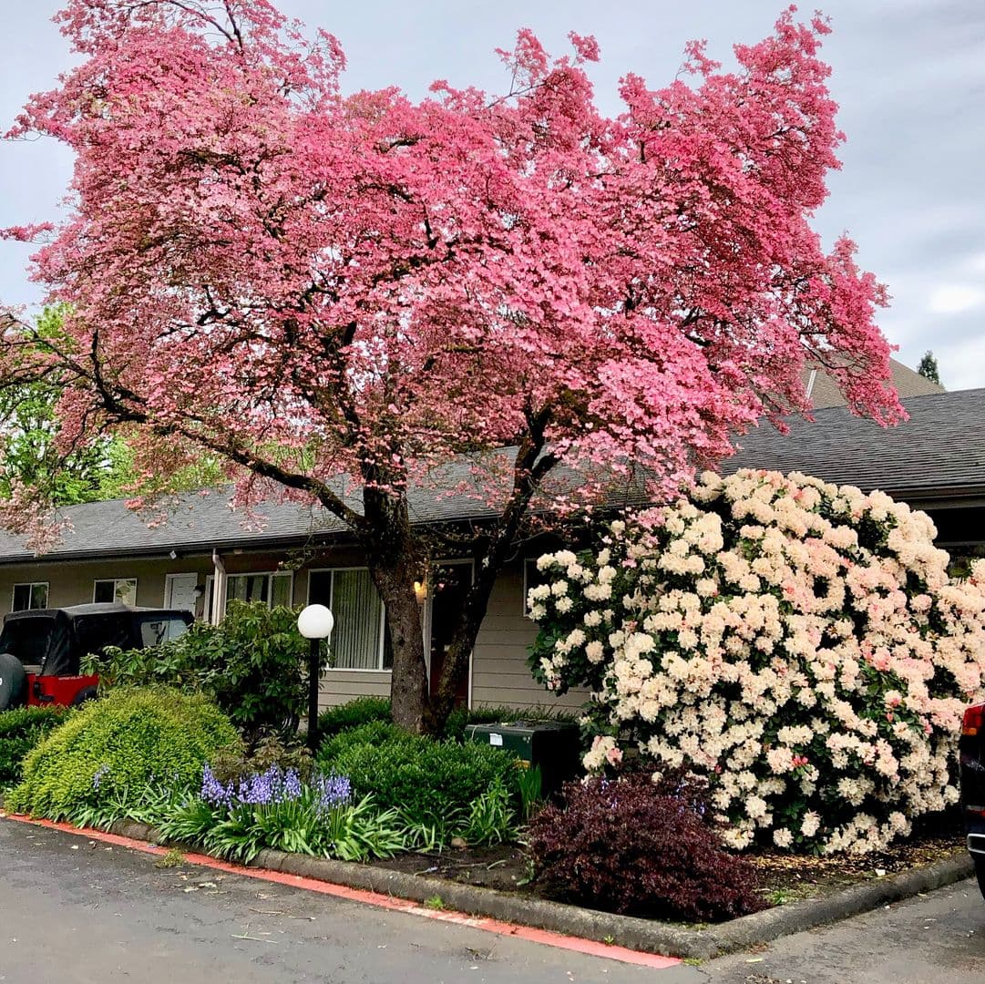 Gladstone Apartment: 19725 River Road