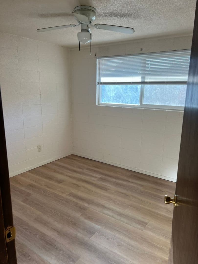 Eugene Apartment: 555 Tyler Street