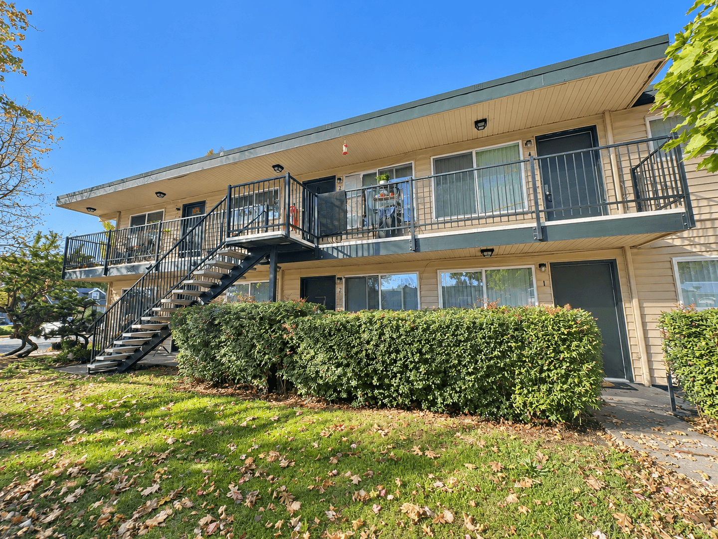 Eugene Apartment: 555 Tyler Street